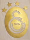 Galatasaray Team Logo Sign