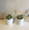 Mini Planter Sticks - Custom - Luxe Decor by Lisa