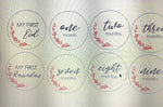 Set of 15 Milestone Set - Luxe Decor by Lisa